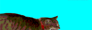 huss