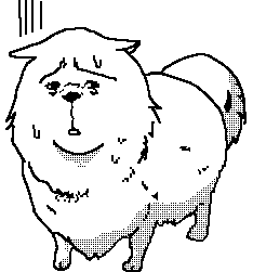 :underdog: